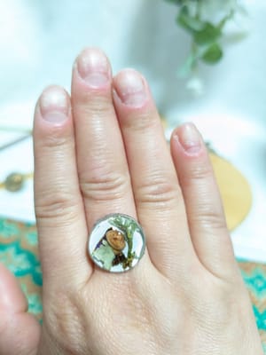 Inel reglabil, Botanical - Thumbnail 9